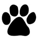 Dog Paw