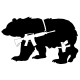 Bear Arms