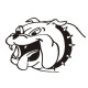 Bulldog 3